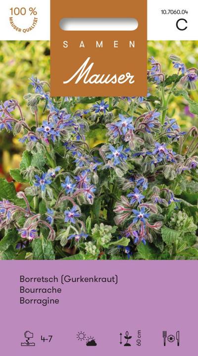 Actual product image Samen Mauser Borage Cucumber herb (Vegetable seeds)