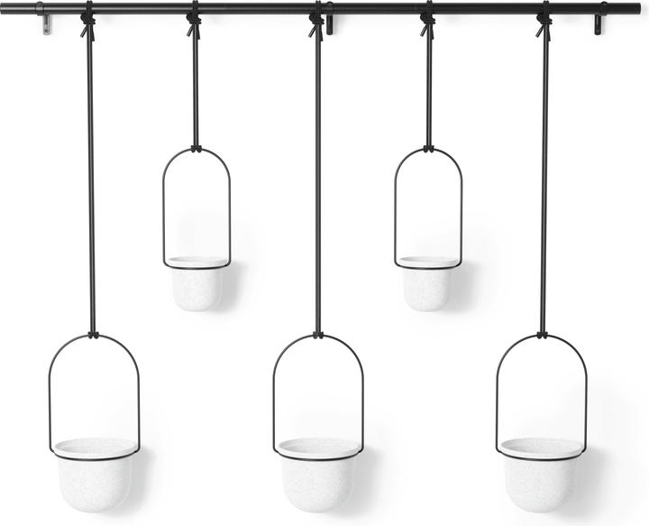 Produktbild Umbra Triflora (15 x 94 cm)