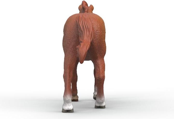 Image du produit Schleich Englisches Vollblut Hengst