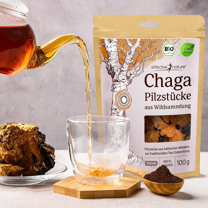 Immagine prodotto Effective Nature Bocconcini di funghi Chaga (1 Pezzo/i, 100 g)