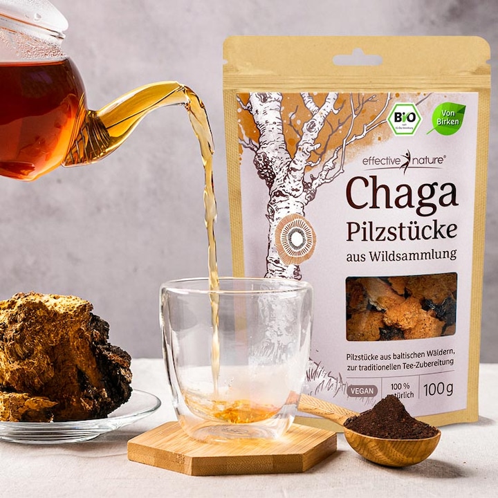 Produktbild Effective Nature Bio Chaga Pilz aus Wildsammlung (1 Stück, 100 g)