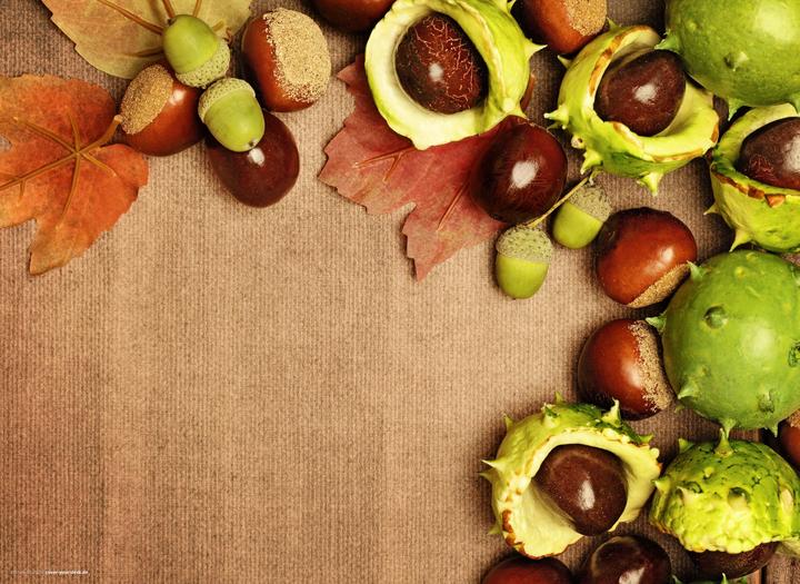 Actual product image CoverYourDesk Chestnuts