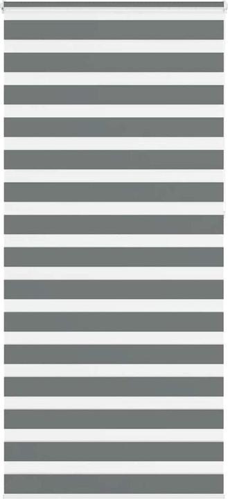 Produktbild vidaXL Zebra-Jalousie (100 x 230 cm)