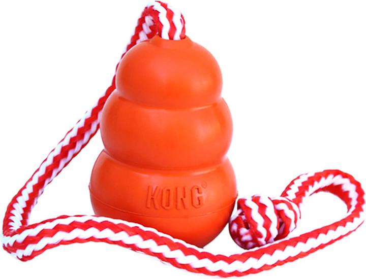 Immagine prodotto KONG Aqua (Reperimento)