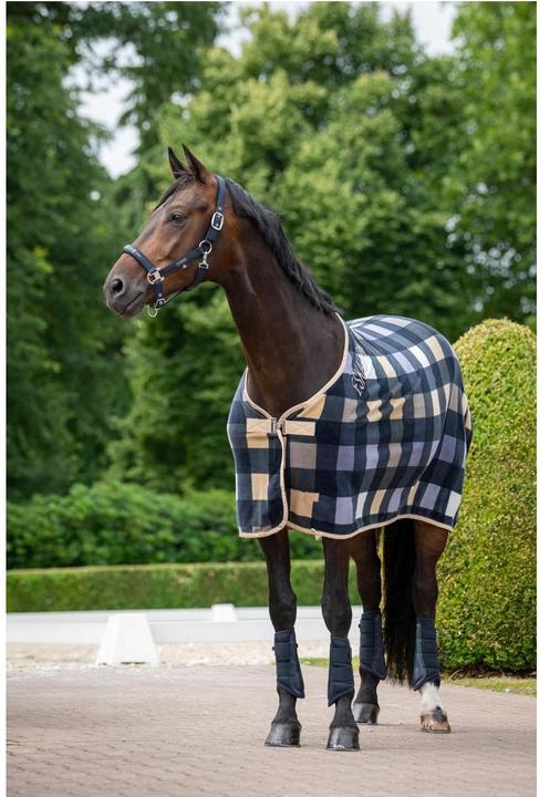 Immagine prodotto Eskadron Halfter SPARKLE DOUBLE PIN Classic Sports SS26