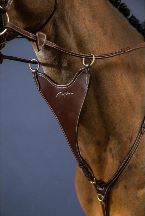 Actual product image Dy'on Solid rigid martingale fork