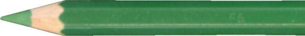 Permanente Oliva Verde