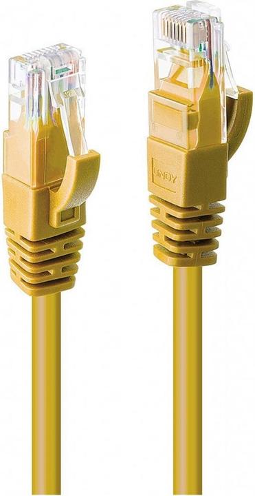 Actual product image Lindy Network cable (U/UTP, CAT6, 20 m)