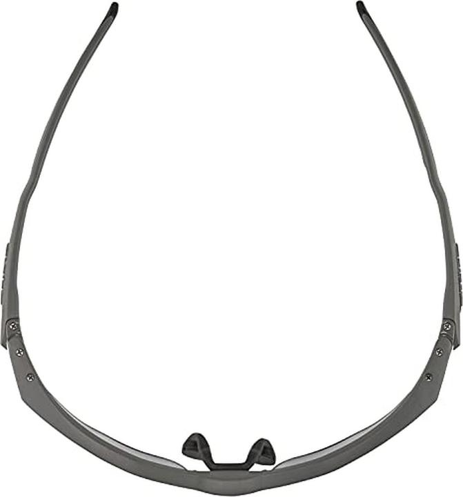 Produktbild ALPINA SPORTS Twist Five HR V (Moon-grey matt, Transparent)