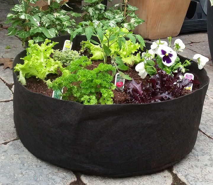 Image du produit Smart Pot Aeration Container 4