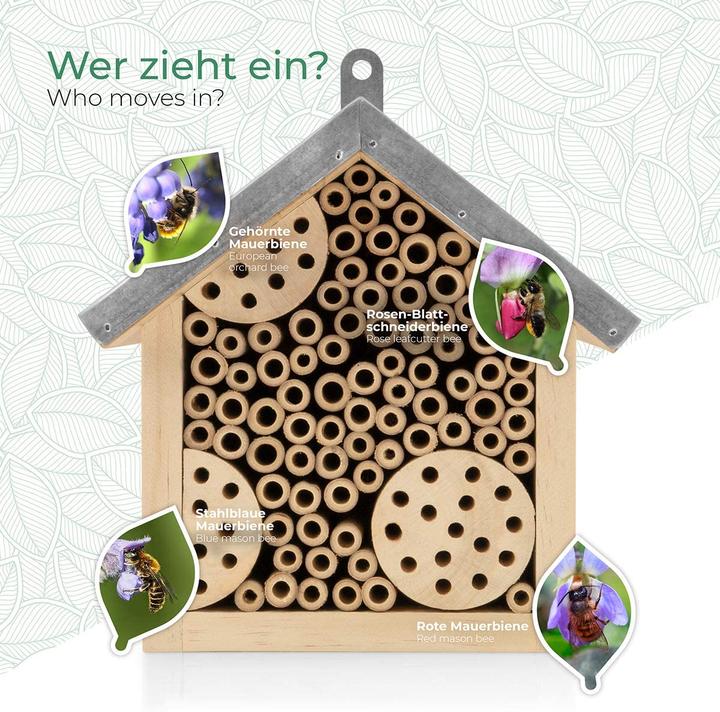 Immagine prodotto Wildlife Friend Bienenhotel (Api, Coccinelle)
