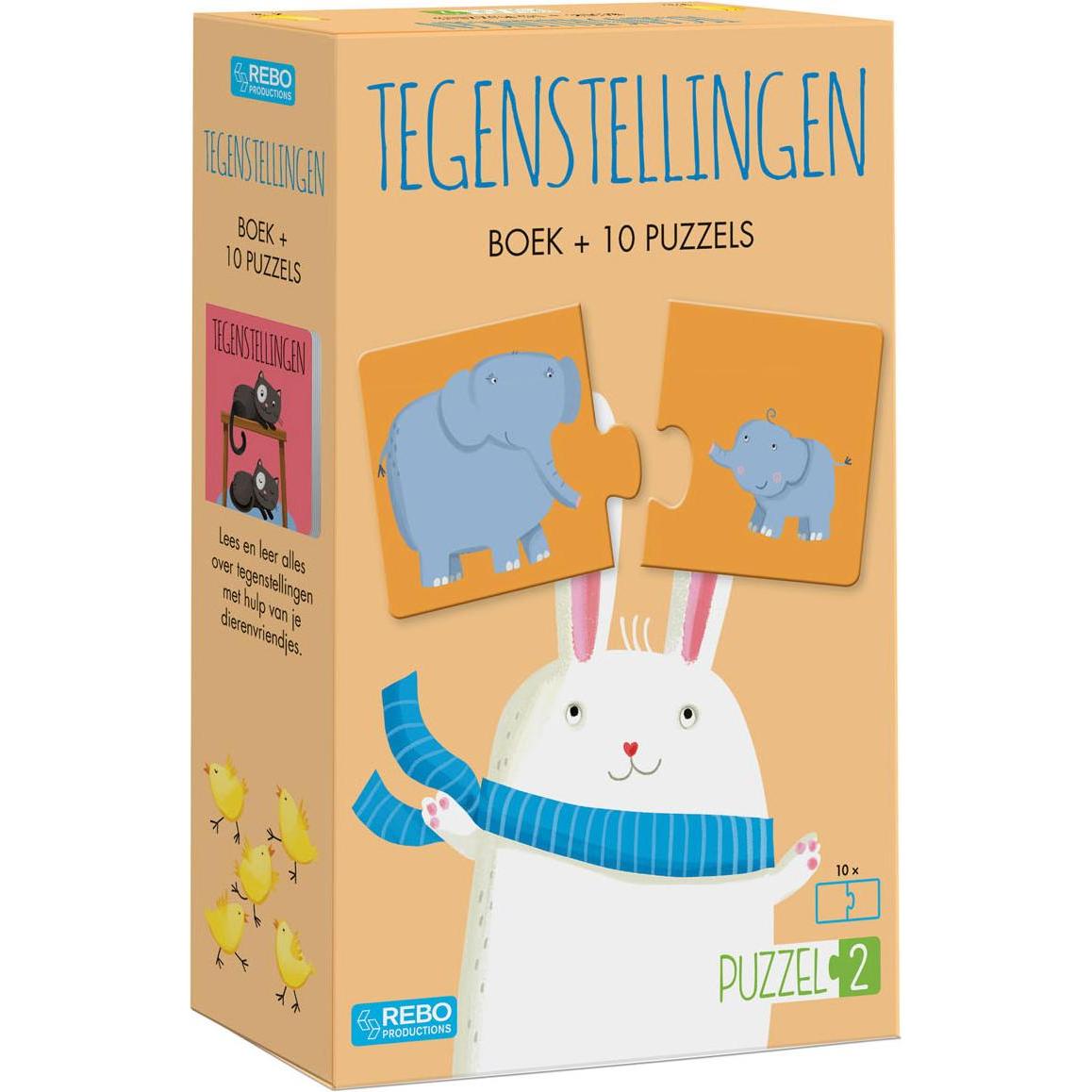 Rebo Puzzel2 - Buch Widersprüche mit 10 Rätseln