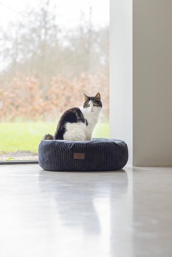 Productafbeelding Designed by Lotte Ligmand (Hond, Kat)