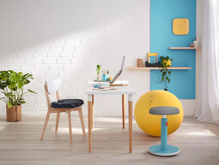 Image du produit Leitz Ballon-siège Ergo Cosy Active (65 cm)