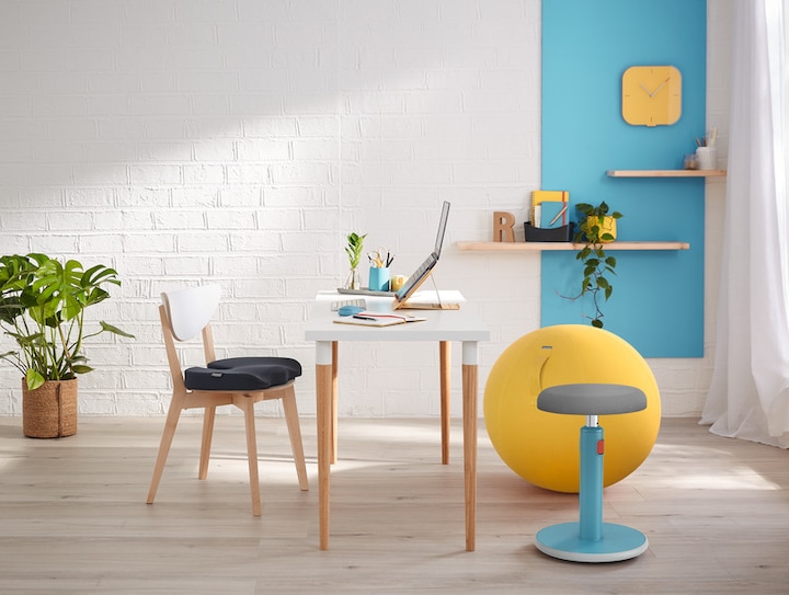 Actual product image Leitz Ergo Cosy Active sitting ball (65 cm)