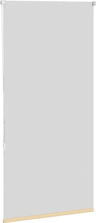 Produktbild vidaXL Verdunkelungsrollo (65 x 130 cm)