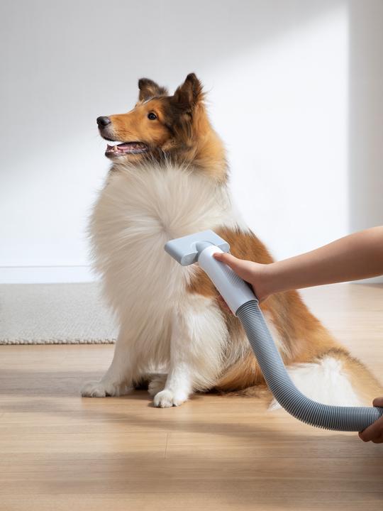 Productafbeelding HomeRunPet Haustierföhn PD10 (Hond)