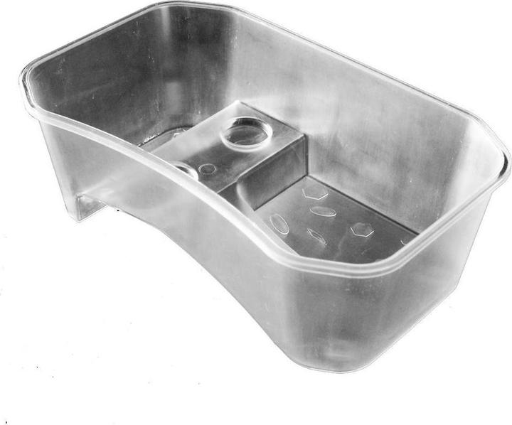 Reptiles-Planet Turtle Aloha