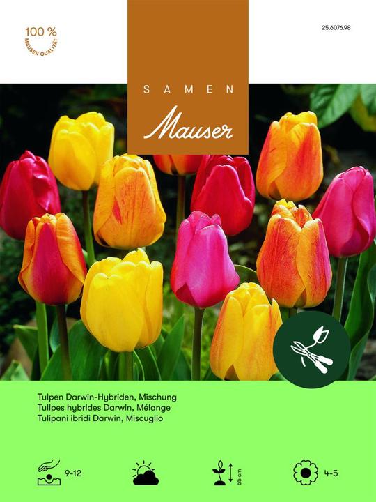 Produktbild Samen Mauser Mischung Aktion (Blumenzwiebeln)