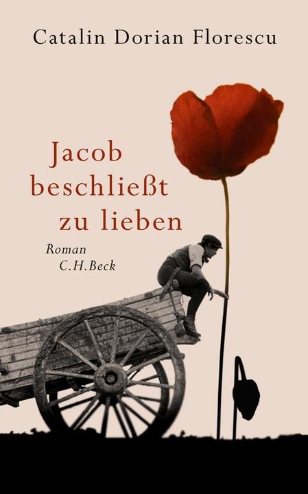 Produktbild Jacob beschliesst zu lieben (Deutsch, CatalinDorian, Florescu, 2012)