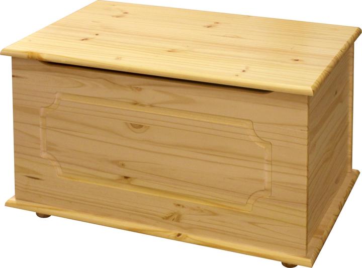 Image du produit Möbilia Coffre (89 cm, 50 l)