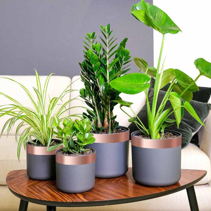 Immagine prodotto vidaXL Kupferband (5 cm)