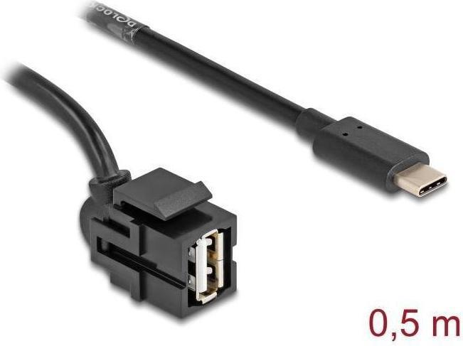 Actual product image Delock Keystone module USB 2.0 A socket to USB Type-C plug 250° (0.50 m, USB 2.0)
