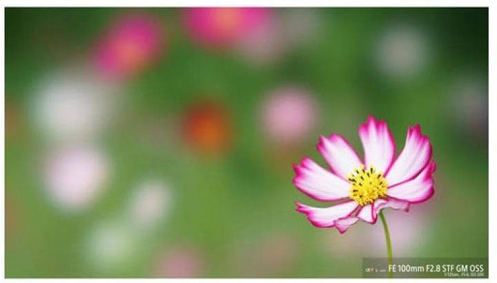 Produktbild Sony FE 100mm f/2.8 STF GM OSS (Sony E, Vollformat)