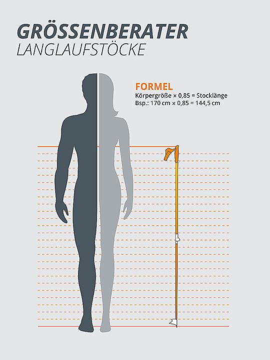 Produktbild Kästle KC70 Langlaufstock (150 cm)