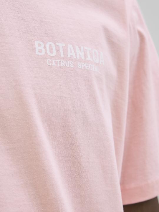 Produktbild Jack & Jones Jorbotaniq Tee Ss Crew Neck Tg Ln (XL)