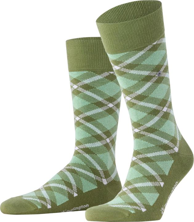 Green, Olive/khaki, Salvia