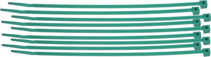Produktbild Brady Leitungs- und Kabelbinder aus Nylon (Kunststoffkabelbinder, 290 mm, 100 Stk.)