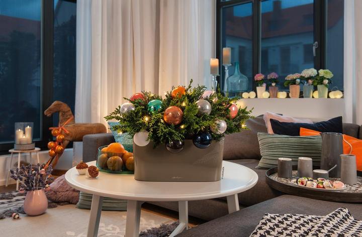 Productafbeelding Lechuza Delta (40 x 15 x 18 cm)