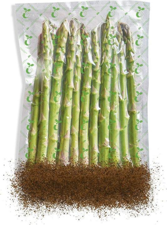 Actual product image Solis ECO vacuum bag 20 x 30 cm (50 x)