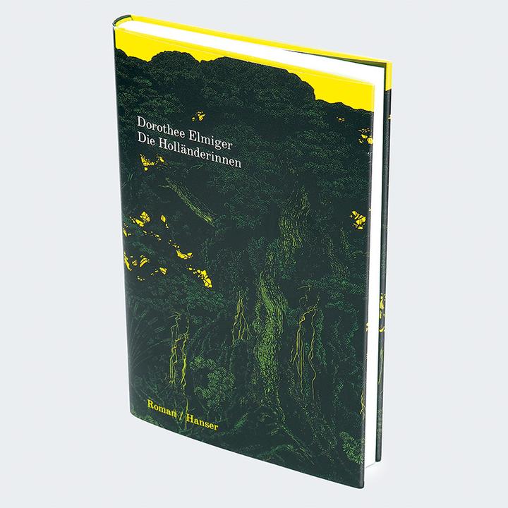 Image du produit Die Holländerinnen (Allemand, Elmiger, Dorothee, 2025)