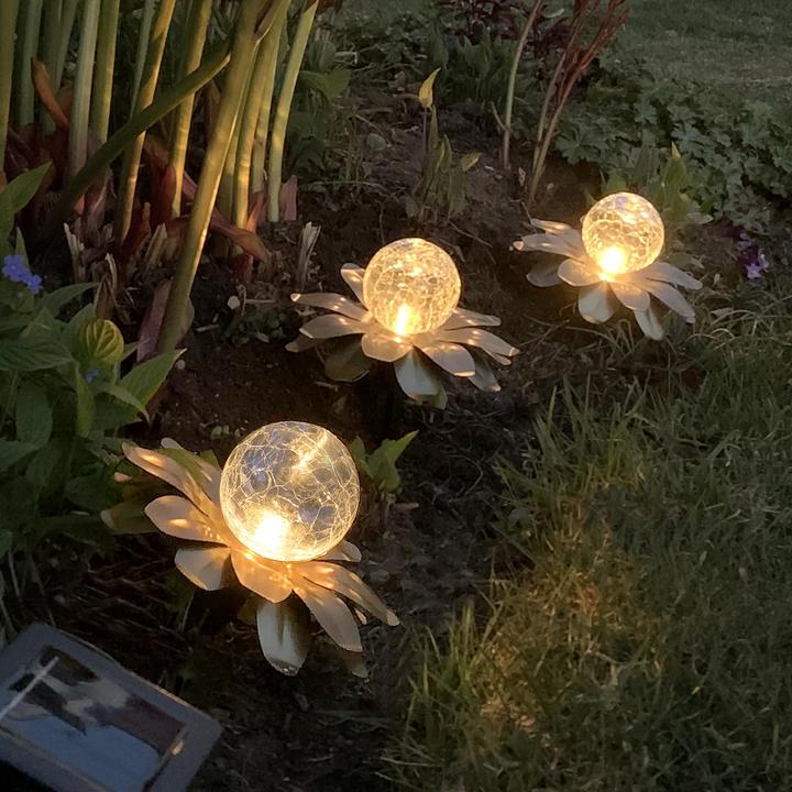 Image du produit Star Trading Solar Decoration Lilly (IP44)