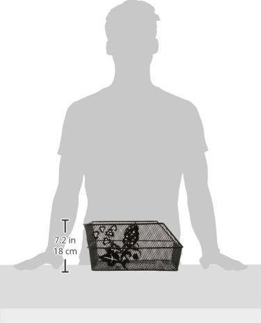 Image du produit Basil Cento Flower