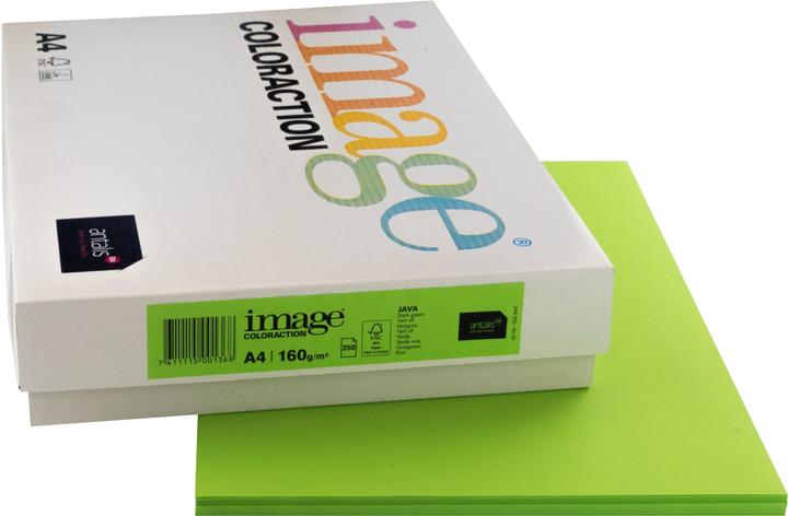 Immagine prodotto Image Carta per copie Java A4 (160 g/m², 250 x, A4)