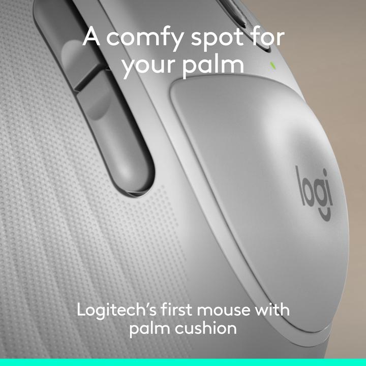Produktbild Logitech Signature Comfort Plus M850 L (Kabellos)