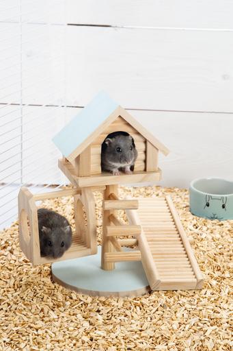 Productafbeelding Beeztees Bz Houten Knaagdier Speelhuisje Lovy Mi