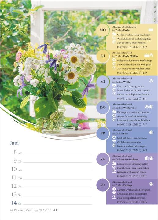 Actual product image Harenberg Mondkalender Wochenkalender 2026 - 53 Wochenblätter mit praktischen Tipps für jeden Tag (Hardcover, German)
