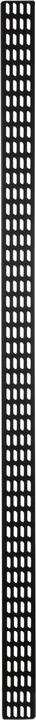 Actual product image Dsit 47 U vertical cable management strip