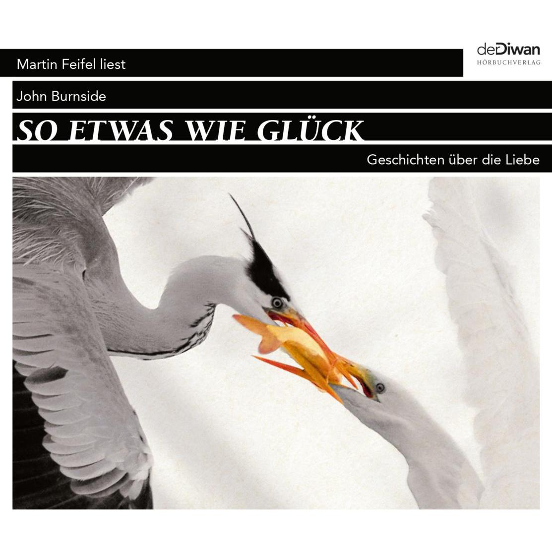 So etwas wie Glück, Hörbücher von Martin Feifel, John Burnside, Tina Walz, Bernhard Robben