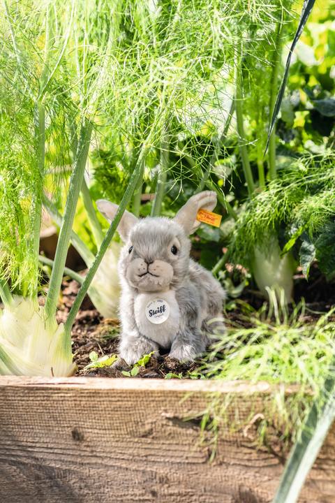 Actual product image Steiff Dormili rabbit light grey 21cm (21 cm)