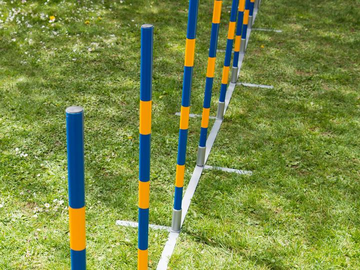 Produktbild Petcenter Profi Agility Slalom (One Size, Agility)