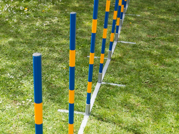 Produktbild Petcenter Profi Agility Slalom (One Size, Agility)
