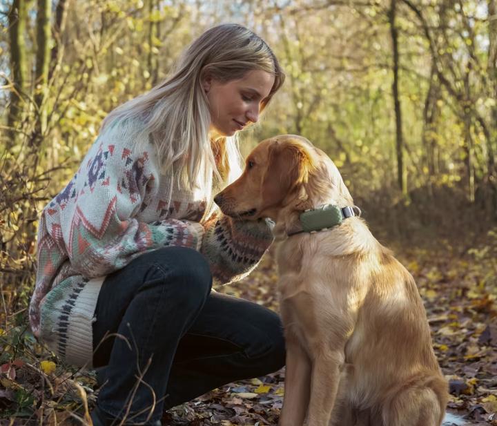 Produktbild Tractive DOG XL GPS Tracker für Hunde (Hund, Allgemein)