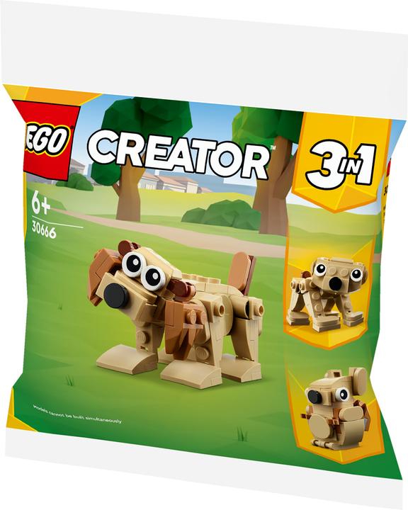 Produktbild LEGO Geschenkset mit Tieren (30666, LEGO Creator 3-in-1)