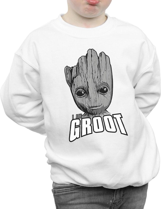 Actual product image Boys Guardians Of The Galaxy Groot Face Sweatshirt (140, 146)