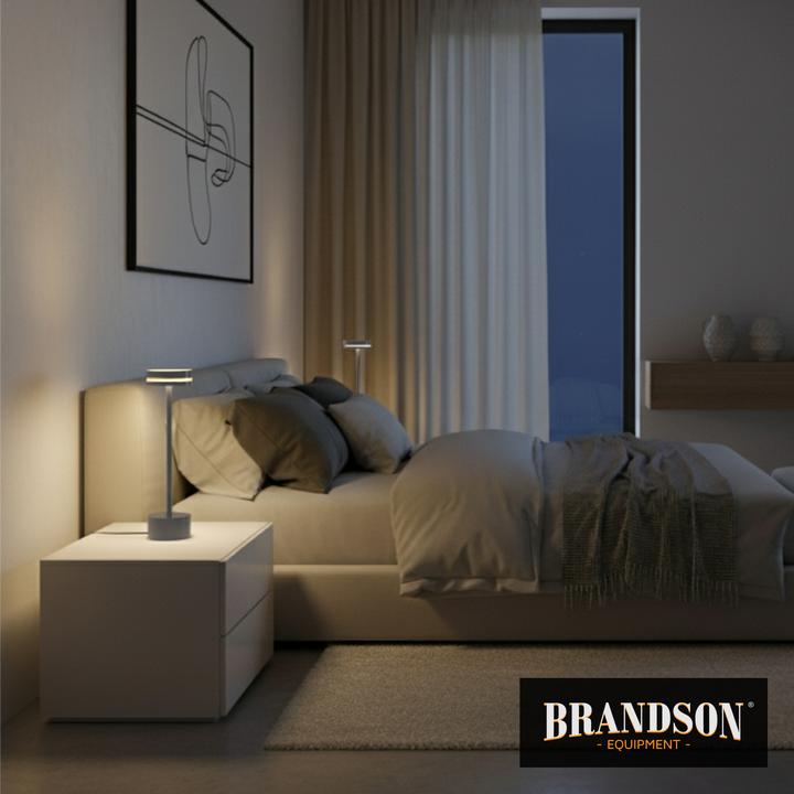 Actual product image Bearware Tischleuchte dimmbar, LED Tischlampe, 3 Lichtfarben, Akku, Helligkeitsstufen, kabellos, Silber